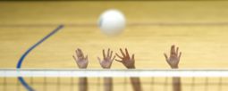 Volleyball (Foto: heraldpost, flickr.com unter Creative Commons ccbync20, Bearbeitung: Zuschnitt, Blur)